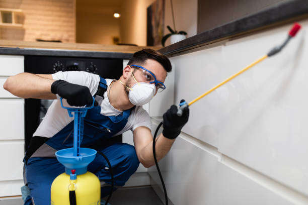 Best Wasp Removal Services  in Palmetto, GA