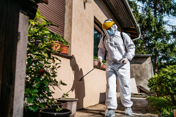 Best Bed Bug Extermination  in Palmetto, GA