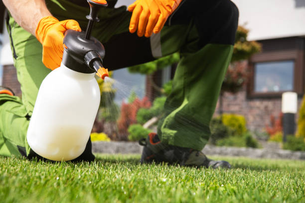 Professional Pest Control in Palmetto, GA
