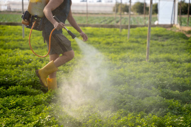 Best Pest Control Cost  in Palmetto, GA