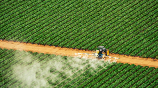 Best Insect Control  in Palmetto, GA