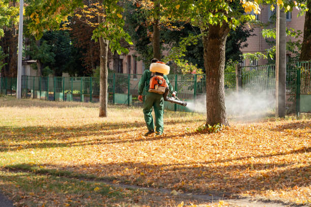 Pest Control Cost in Palmetto, GA