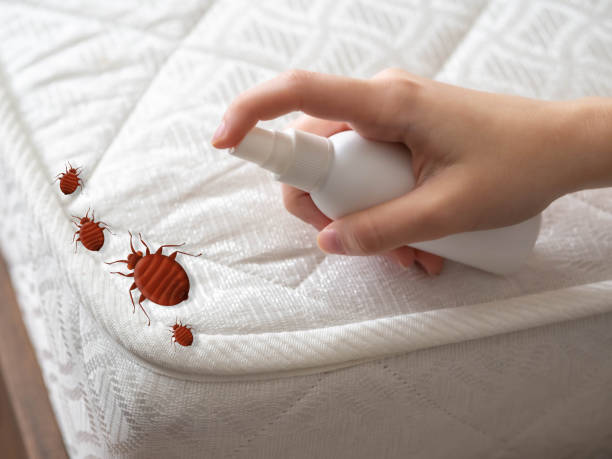 Best Commercial Pest Control Services  in Palmetto, GA